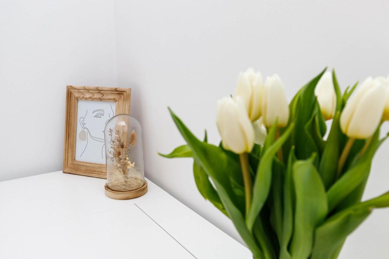Apartment Klara كرك المظهر الخارجي الصورة