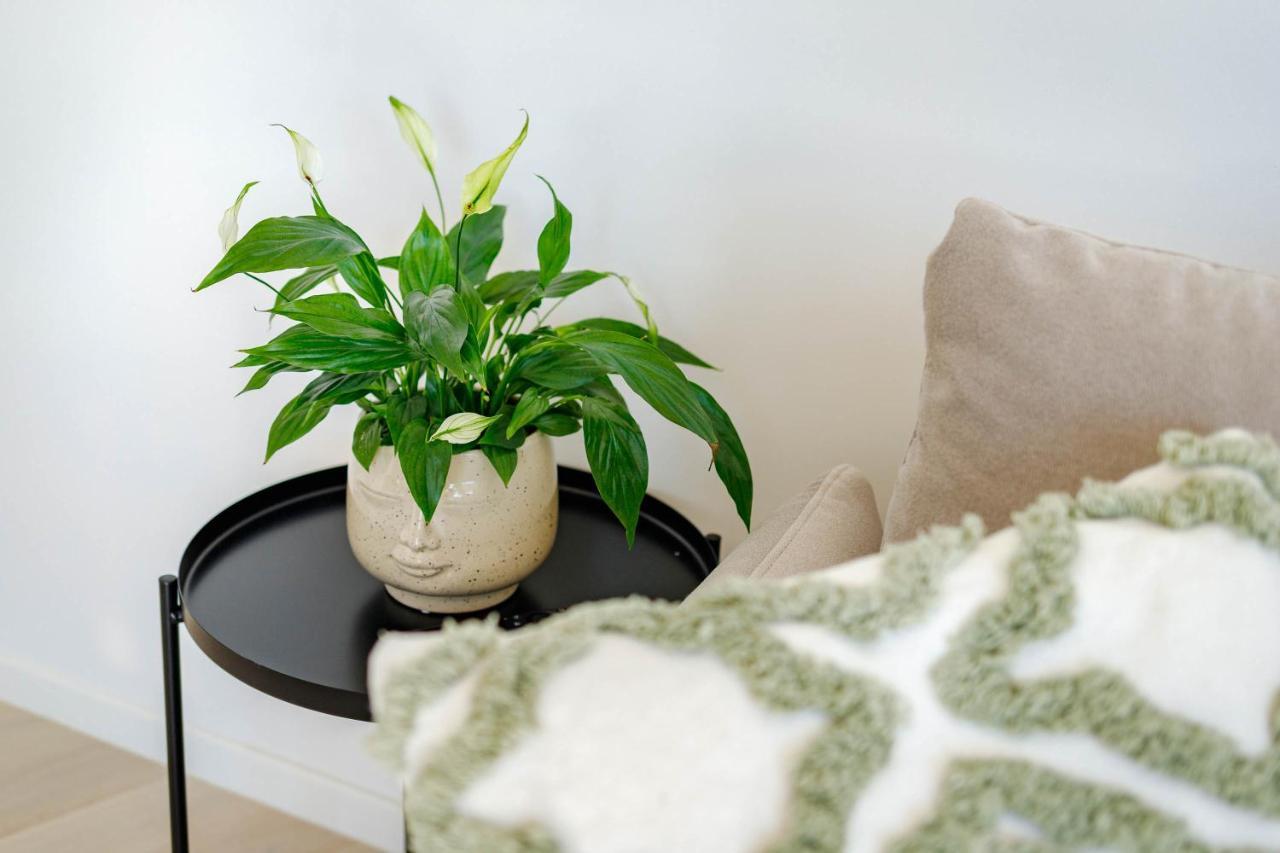 Apartment Klara كرك المظهر الخارجي الصورة